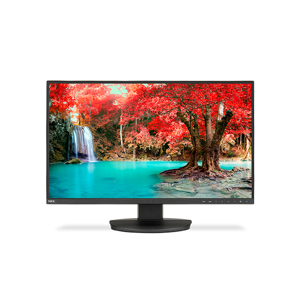 NEC monitor displaying vibrant autumn forest with waterfall, ideal for business IT setups