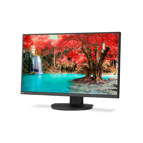 NEC monitor displaying vibrant autumn forest with waterfall, ideal for business IT setups