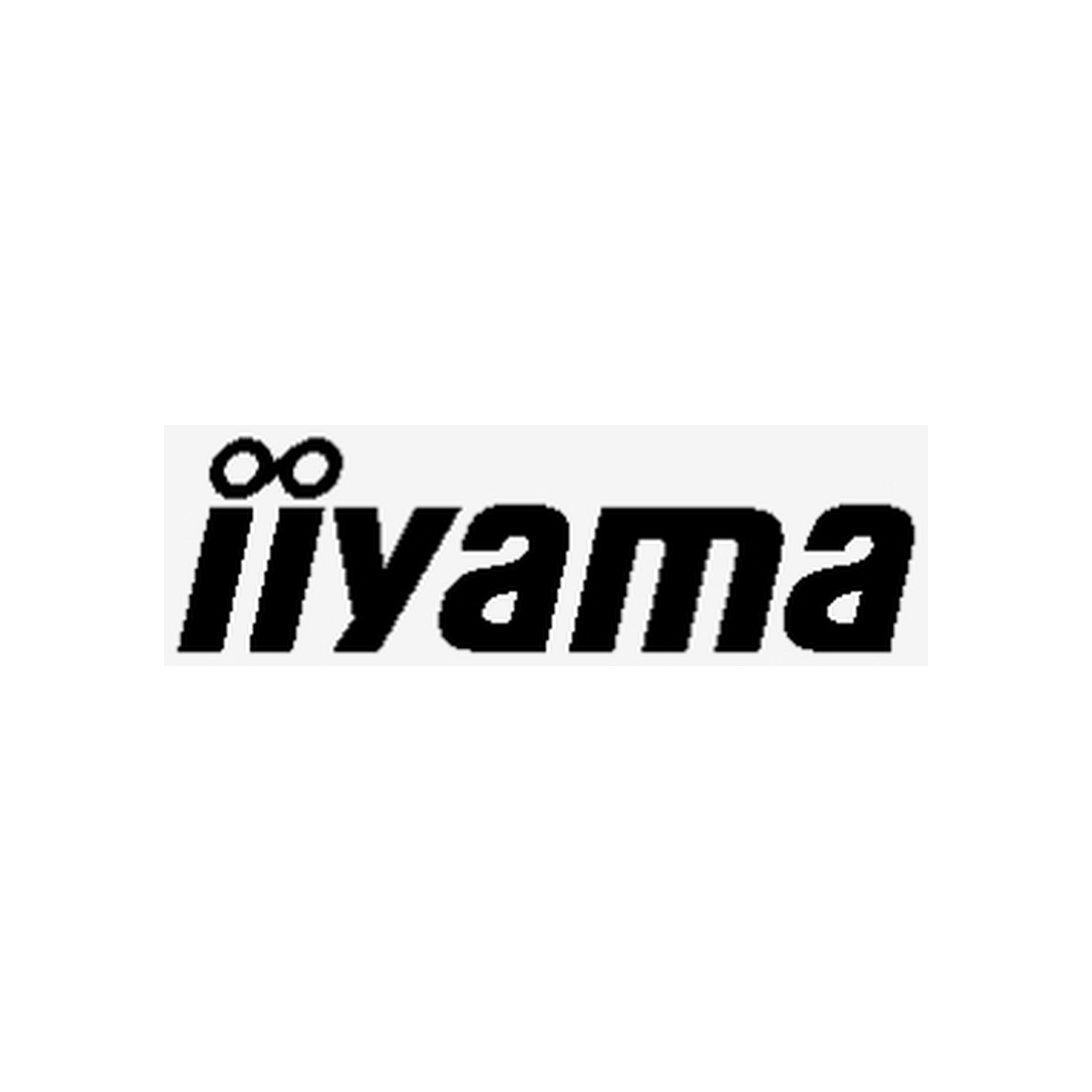 Logo iiyama