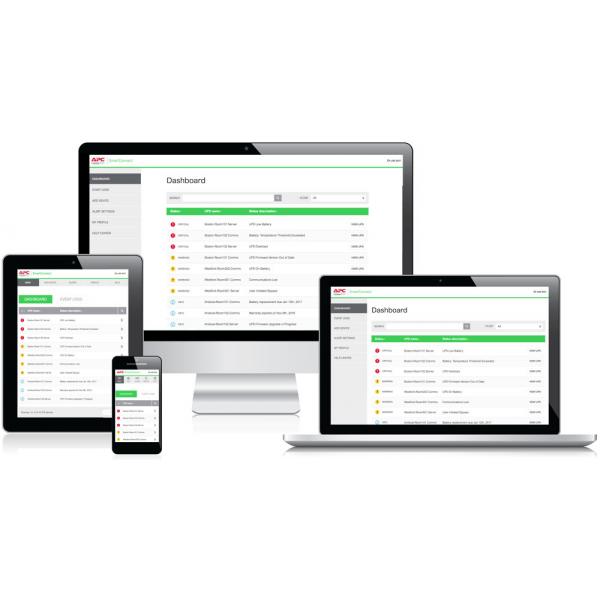 APC ERWPLUS1-1Y-DIGI licenza per software/aggiornamento 1 anno/i [ERWPLUS1-1Y-DIGI]