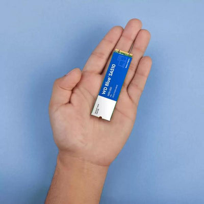 WESTERN DIGITAL SSD BLUE 2TB M.2 SA510 2280 SATA III 6 GBS [WDS200T3B0B]