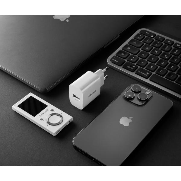 INTENSO ALIMENTATORE 5W 1 ENTRATA USB A BIANCO [7800512]