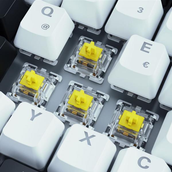 Sharkoon SKILLER SGK50 S3 tastiera USB QWERTY Italiano Bianco [SKILLERSGK50S3]