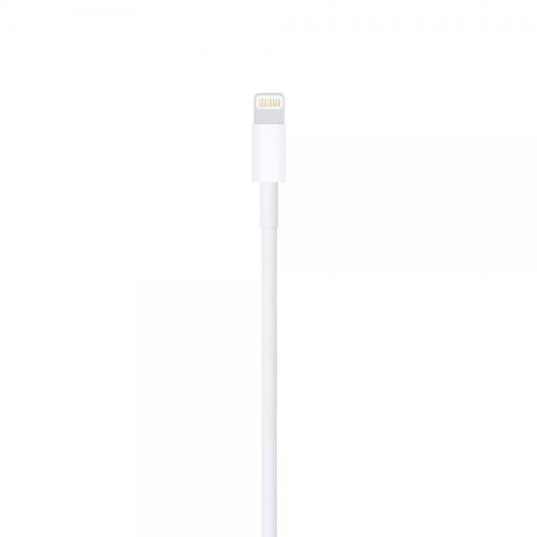 APPLE CAVO LIGHTNING TO USB CABLE (1 M) [MUQW3ZM/A]