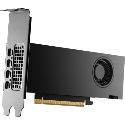 HP VGA QUADRO RTX 2000 ADA, 16GB GDDR6, PCIe 4.0x8, 4x mDP, LOW PROFILE [8D6B8AA]
