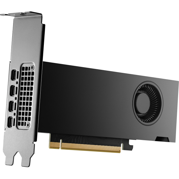 HP VGA QUADRO RTX 2000 ADA, 16GB GDDR6, PCIe 4.0x8, 4x mDP, LOW PROFILE [8D6B8AA]