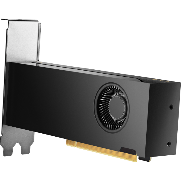 HP VGA QUADRO RTX 2000 ADA, 16GB GDDR6, PCIe 4.0x8, 4x mDP, LOW PROFILE [8D6B8AA]