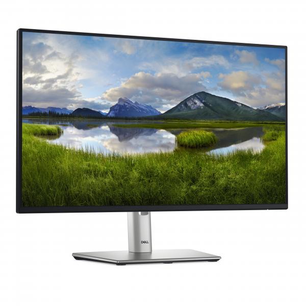 Dell Pro Plus 24 - P2425H (210-BMFF) - 24 inch - Full HD IPS LED Monitor - 1920x1080 - Pivot / HAS / USB-C [DELL-P2425H]