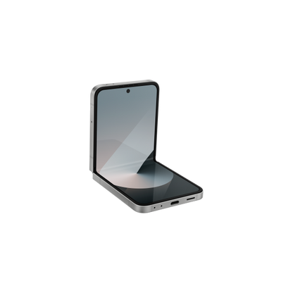 Samsung Galaxy Z Flip6 17 cm (6.7") Doppia SIM Android 14 5G USB tipo-C 12 GB 256 GB 4000 mAh Argento [SM-F741BZSGEEE]