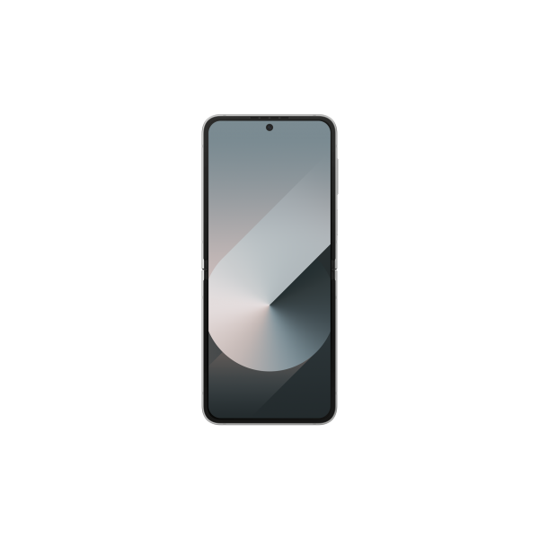 Samsung Galaxy Z Flip6 17 cm (6.7") Doppia SIM Android 14 5G USB tipo-C 12 GB 256 GB 4000 mAh Argento [SM-F741BZSGEEE]