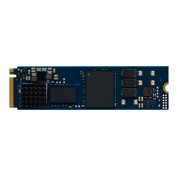 Kingston Technology 960G DC2000B PCIe 4.0 M.2 2280 Enterprise SSD [SEDC2000BM8/960G]