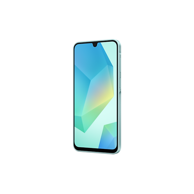Samsung Galaxy A16 5G 17 cm (6.7") Doppia SIM USB tipo-C 4 GB 128 GB 5000 mAh Verde [SM-A166BLGDEUE]