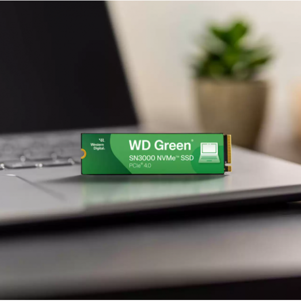 Western Digital SN3000 - 500GB - M.2 - Green [WDS500G4G0E-00CPS0]