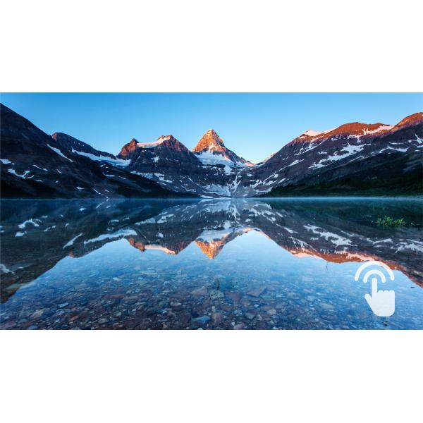 PHILIPS MONITOR TOUCH 21,5 16:9 1MS 250 CDM, VGA/DVI/DP/HDMI, IP65, MULTIMEDIALE [222B9TA]