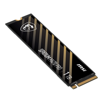 MSI SPATIUM M470 PRO PCIe 4.0 NVMe M.2 1TB drives allo stato solido PCI Express 4.0 3D NAND [S78-440L0J0-P83]