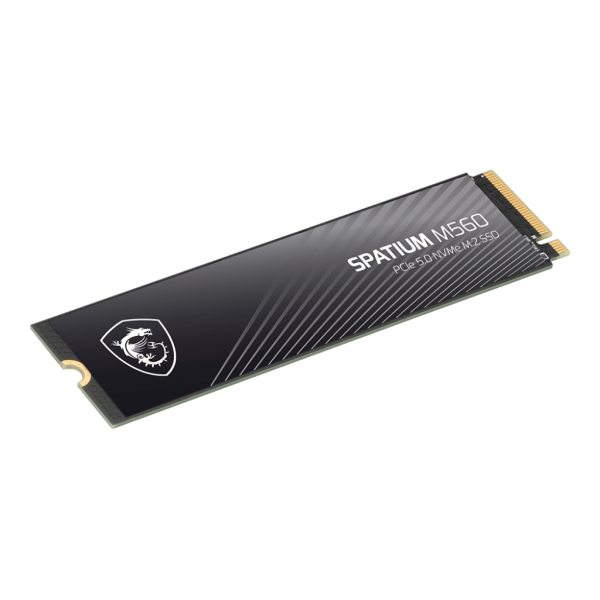 MSI SPATIUM M560 PCIE 5.0 NVME M.2 1TB drives allo stato solido PCI Express 5.0 3D NAND [S78-440L0F0-P83]