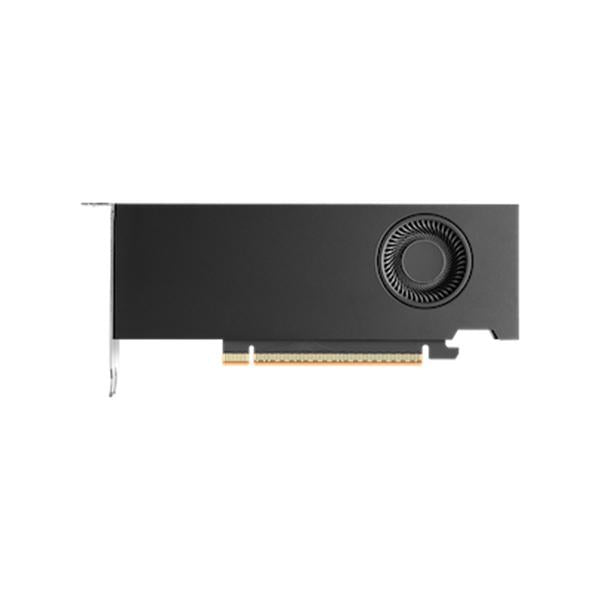 Nvidia RTX PRO 2000 Blackwell 16 GB GDDR7 [900-5G195-2551-000]