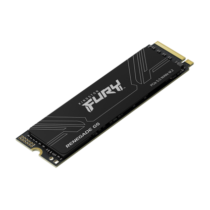 Kingston Technology 1T FURY RENEGADE G5 M.2 2280 NVMe SSD [SFYR2S/1T0]