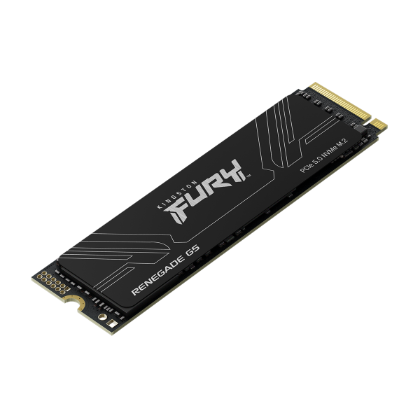 Kingston Technology 1T FURY RENEGADE G5 M.2 2280 NVMe SSD [SFYR2S/1T0]