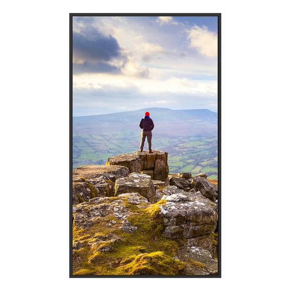 Sharp PN-E439 Pannello piatto per segnaletica digitale 109,2 cm (43") LCD 350 cd/m 4K Ultra HD Nero 16/7 [PNE439]