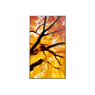 Sharp MultiSync PN-M982 Pannello piatto interattivo 2,48 m (97.5") LED 550 cd/m 4K Ultra HD Nero 24/7 [60006059]