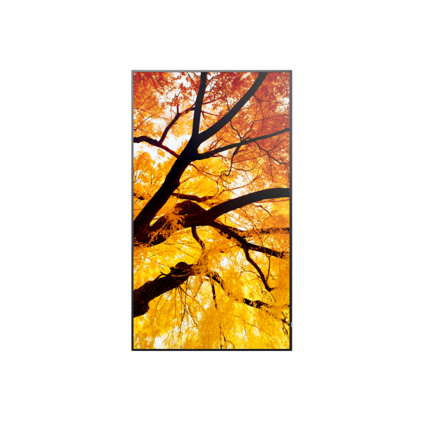 Sharp MultiSync PN-M982 Pannello piatto interattivo 2,48 m (97.5") LED 550 cd/m 4K Ultra HD Nero 24/7 [60006059]