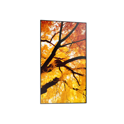 Sharp MultiSync PN-M982 Pannello piatto interattivo 2,48 m (97.5") LED 550 cd/m 4K Ultra HD Nero 24/7 [60006059]