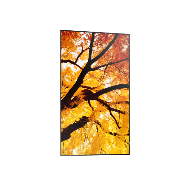 Sharp MultiSync PN-M982 Pannello piatto interattivo 2,48 m (97.5") LED 550 cd/m 4K Ultra HD Nero 24/7 [60006059]