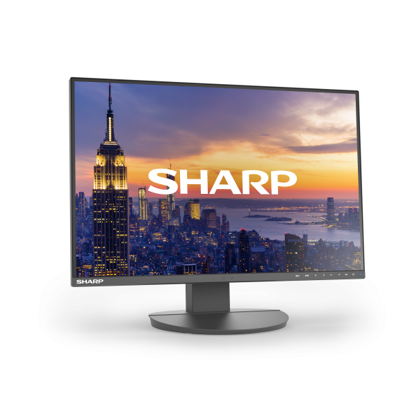 Sharp MultiSync EA242W Monitor PC 61 cm (24") 1920 x 1200 Pixel Full HD LCD Nero [DDEA242W]
