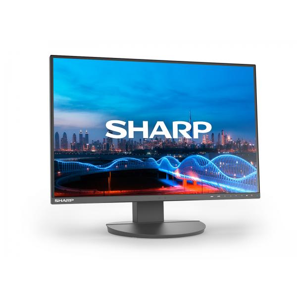 Sharp MultiSync EA241W Monitor PC 61 cm (24") 1920 x 1200 Pixel Full HD LCD Nero [DDEA241W]