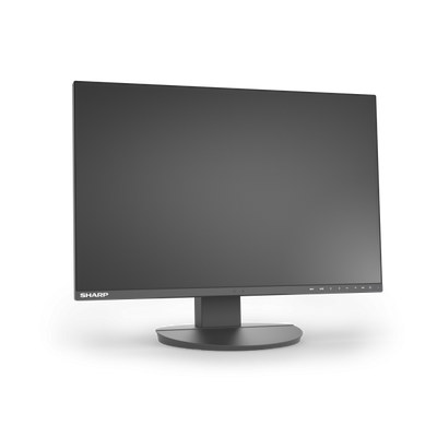 Sharp MultiSync EA241W Monitor PC 61 cm (24") 1920 x 1200 Pixel Full HD LCD Nero [DDEA241W]