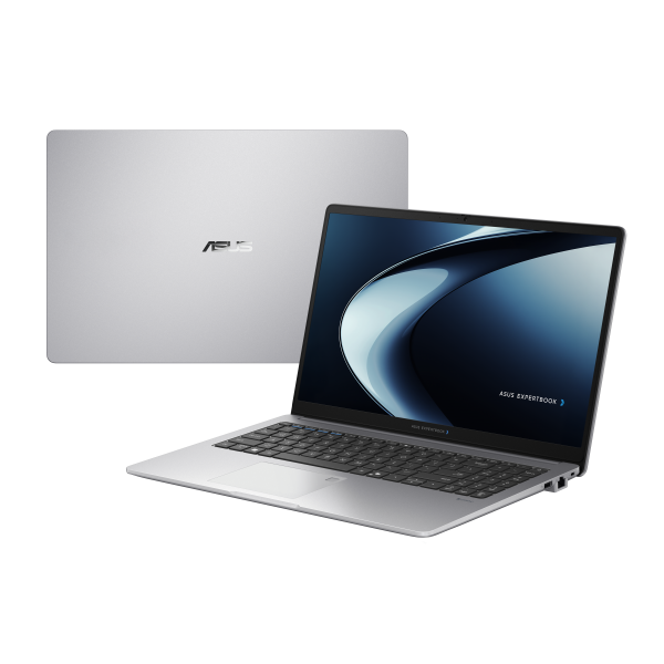 ASUS ExpertBook P1 P1503CVAY-S73203 Intel Core 5 210H Computer portatile 39,6 cm (15.6") Full HD 8 GB DDR4-SDRAM 256 GB SSD Wi-Fi 6 (802.11ax) Grigio [P1503CVAY-S73203]