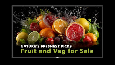 Philips D-Line 55BDL5050D 139.7cm 55" 24/7/UHD/Android14 [55BDL5050D/00]