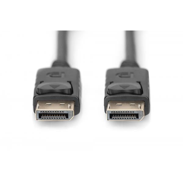 Digitus DisplayPort Connection Cable - 2 Meter [DB-340100-020-S]