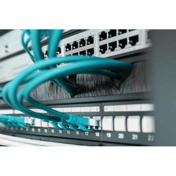Digitus 1U Cable Brush Management Panel for 483mm (19 inch) Cabinets [DN-97661]