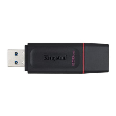 Kingston Technology DataTraveler Drive Flash USB 3.2 - USB Exodia [DTX/256GB]