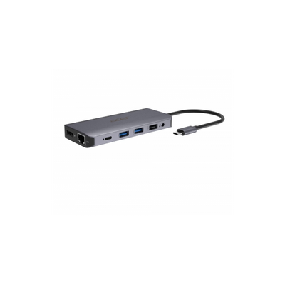 Acer USB Type-C Dongle 12-in-1- Silver [HP.DSCAB.009]