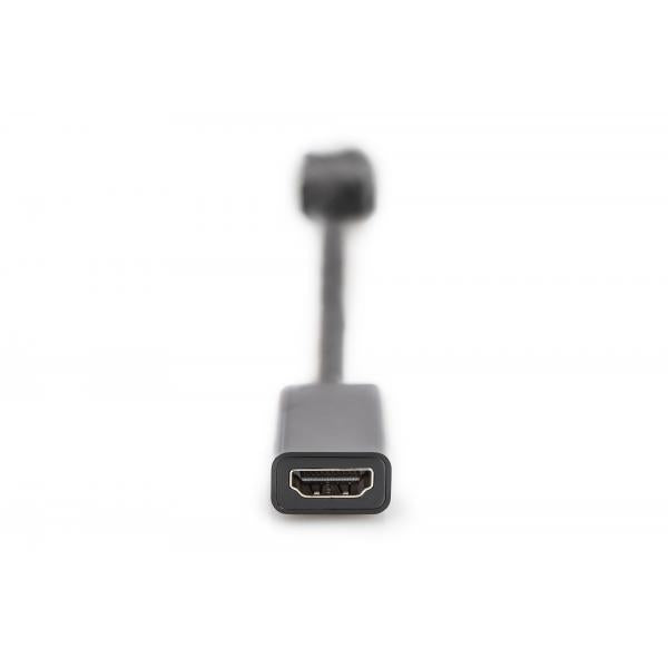 Digitus DisplayPort Adapter / Converter [AK-340400-001-S]