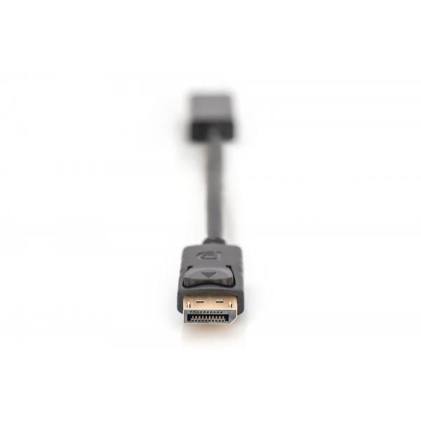 Digitus DisplayPort Adapter / Converter [AK-340400-001-S]