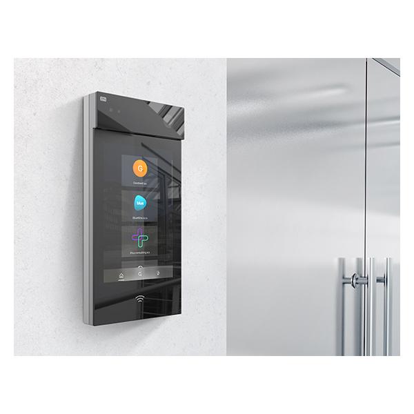 2N IP Style Unità Principale [9157101]