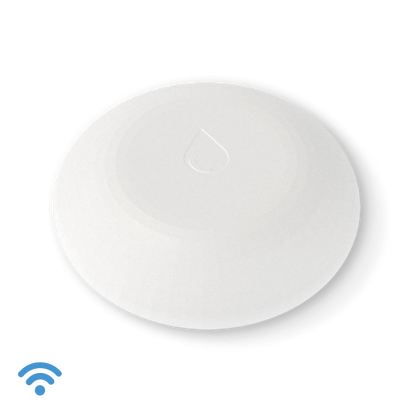 Shelly Flood [3800235262245]