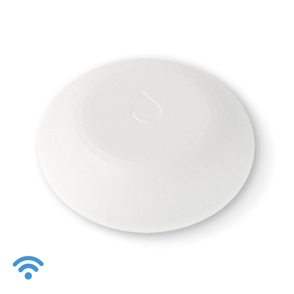 Shelly Flood [3800235262245]