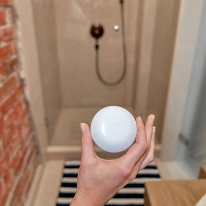 Shelly Flood [3800235262245]