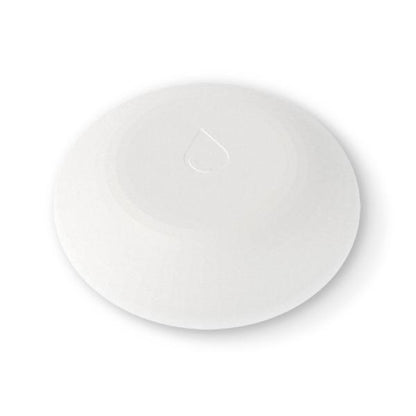 Shelly Flood [3800235262245]