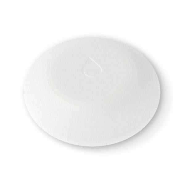 Shelly Flood [3800235262245]