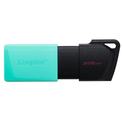 Kingston Technology DataTraveler 256GB USB3.2 Gen1 Exodia M (Nero + Verde ottanio) [DTXM/256GB]