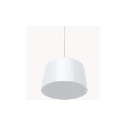 AXIS C1510 NETWORK PENDANT SPEAKER [02389-001]