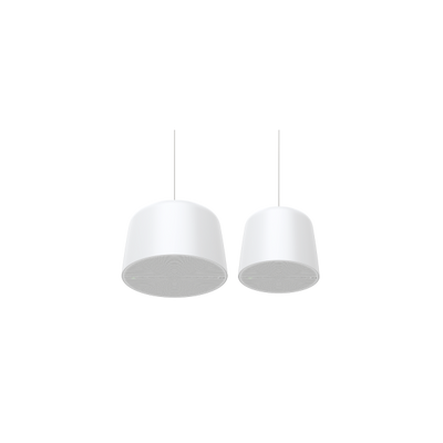 AXIS C1511 NETWORK PENDANT SPEAKER - PROMO FINO AD ESAURIMENTO SCORTE [02390-001]