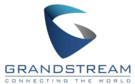 Grandstream Alimentatore 5V-1A microUSB per HT80X, WP8XX e GXP178X [GS_PSU_5V_1A_USB]