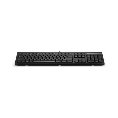 HP Tastiera 125 Wired, Full-size (100%), Cablato, USB, Interruttore a chiave a membrana, Nero [266C9ET#ABZ] - ITPartners
